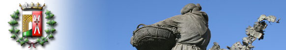 Ayuntamiento de Miguel Esteban