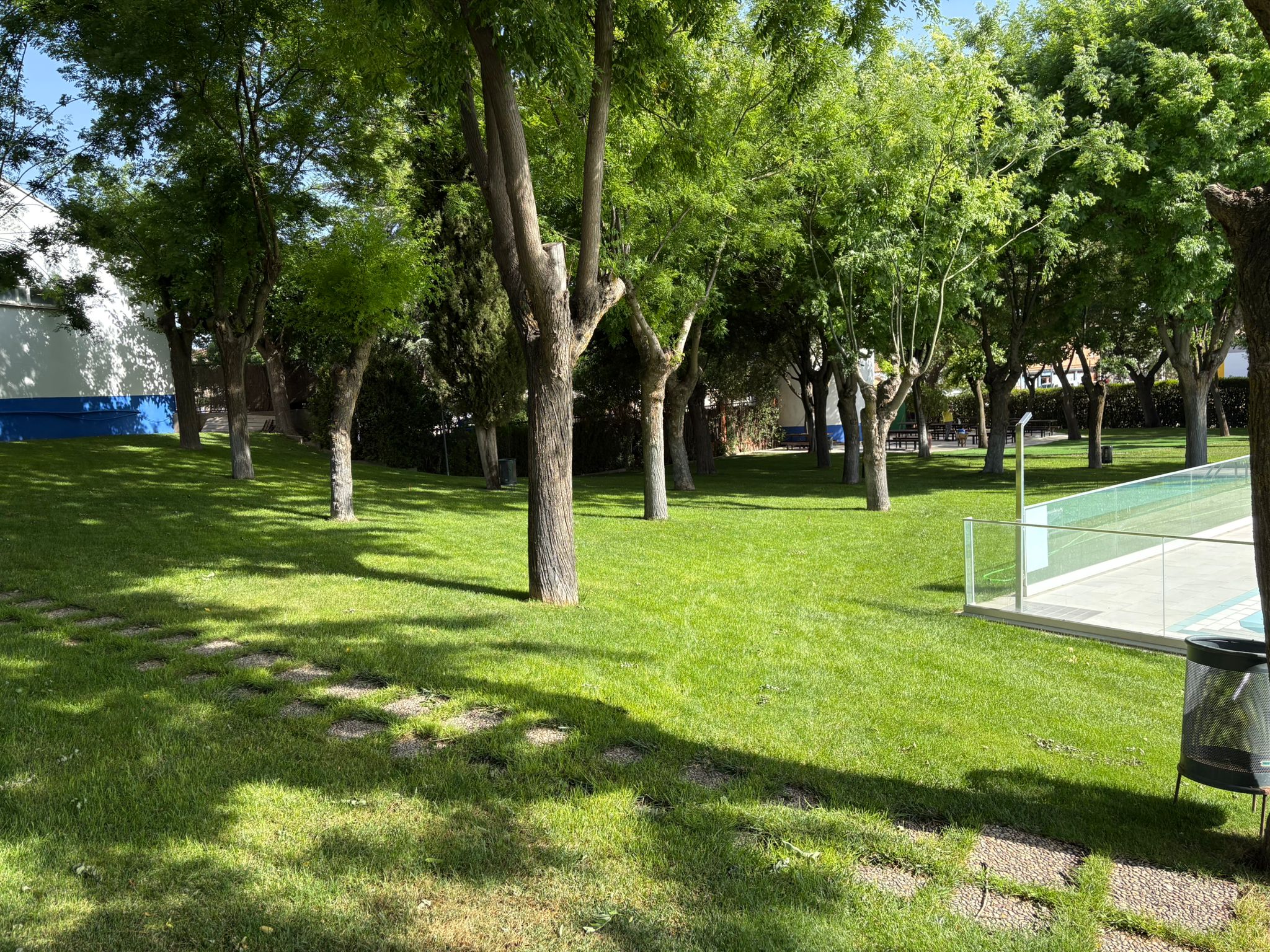 PISCINA MIGUEL ESTEBAN 1