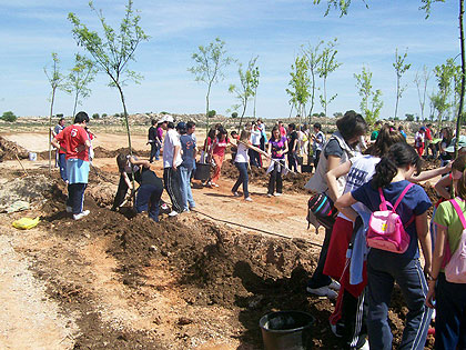 Los alumnos del IESO “Juan Patiño” plantaron medio centenar de árboles en la pradera de San Isidro
