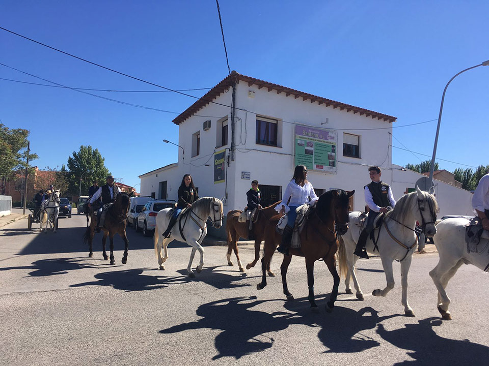 San-Isidro-caballos